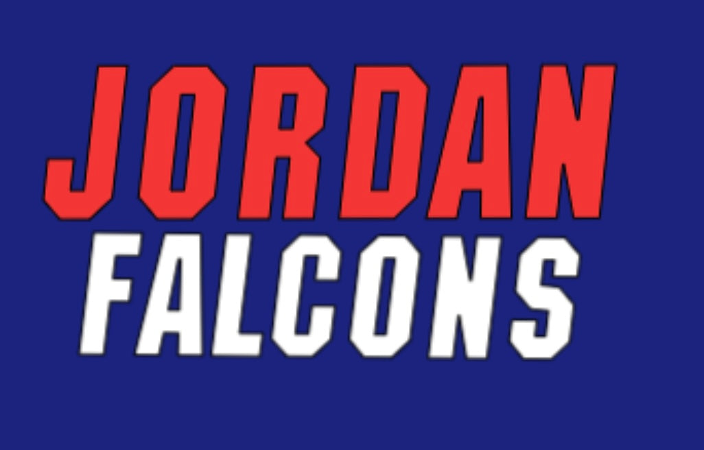 Jordan Falcons- Slanted